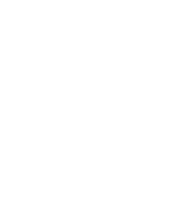 terra quantum logo visual